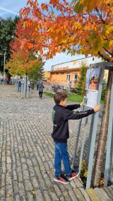 Fotogalerie VÝSTAVA NA STROMECH, foto č. 2