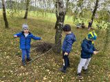 Fotogalerie Vytrvalostní procházky a hry v lese, foto č. 18