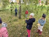 Fotogalerie Vytrvalostní procházky a hry v lese, foto č. 15