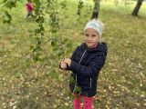 Fotogalerie Vytrvalostní procházky a hry v lese, foto č. 16