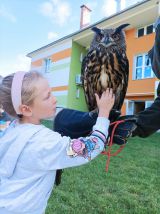 Fotogalerie DOPOLEDNE S DRAVCI, foto č. 2